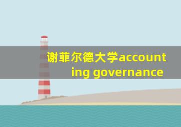 谢菲尔德大学accounting governance